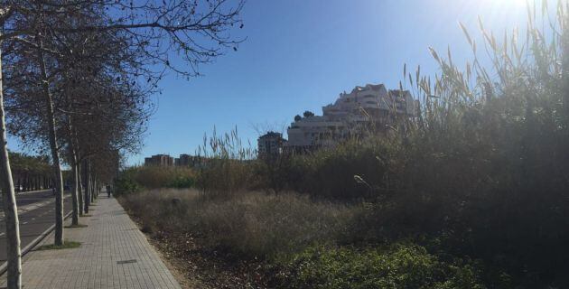 La maleza se encuentra muy próxima a la calzada, con riesgo de incendio implícito