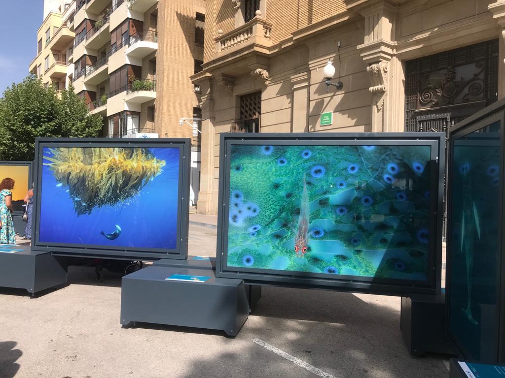 Tonos azules y verdes en la exposición &quot;Colores del mundo&quot;