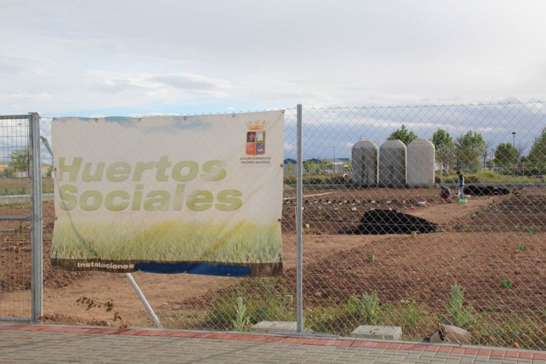 Terrenos donde se ubican los huertos