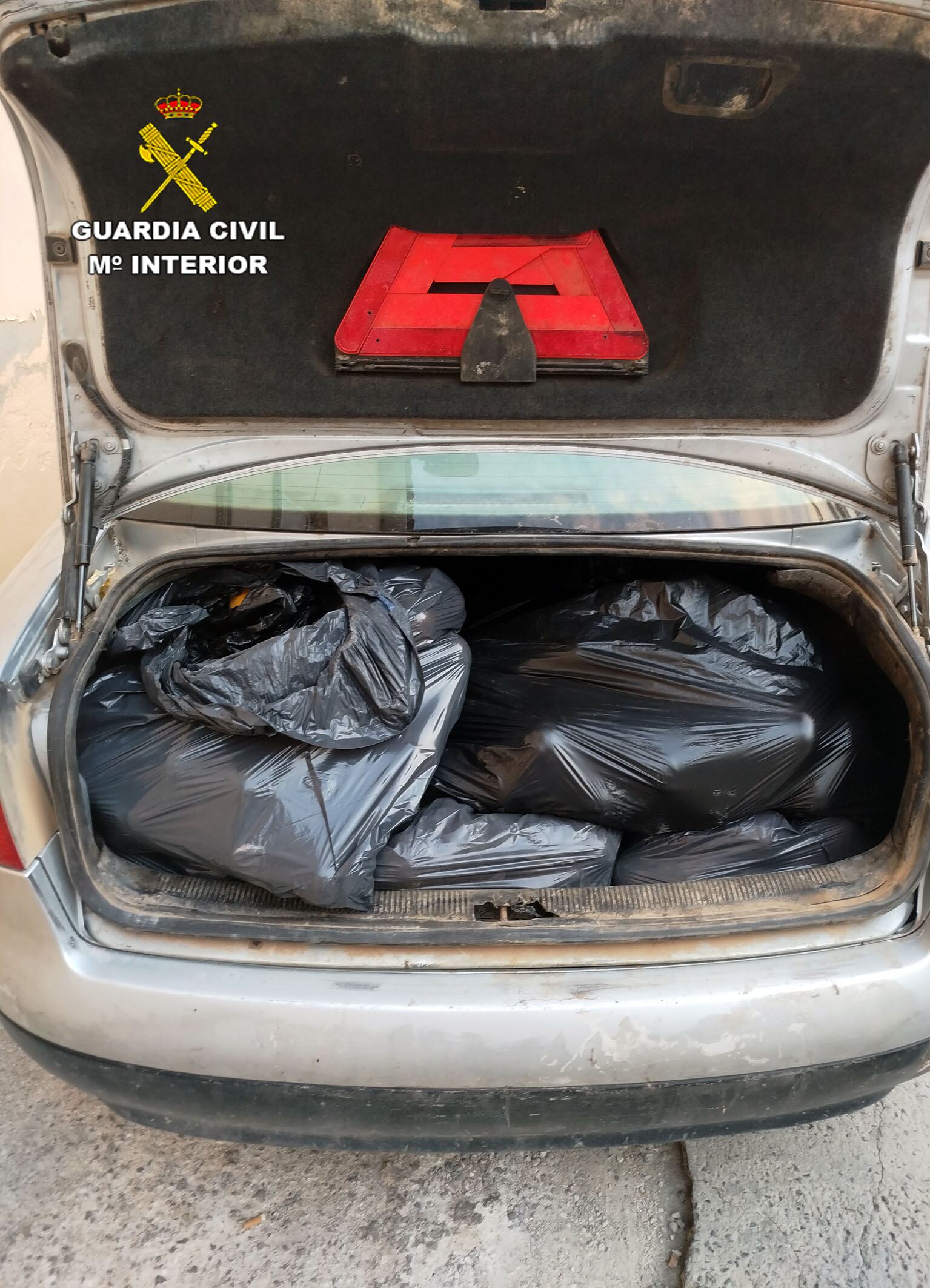 Melocotones recuperados en Cieza