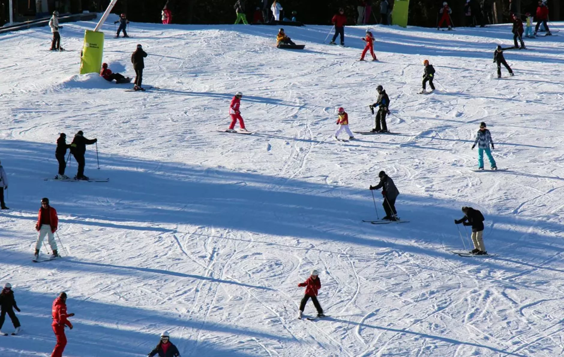 Un grup d'alumnes practicant esquí escolar.