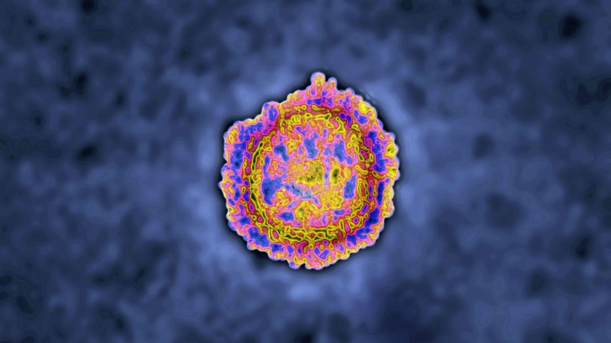 Entrevista a Juan José Gómez Cadenas