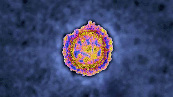 Entrevista a Juan José Gómez Cadenas