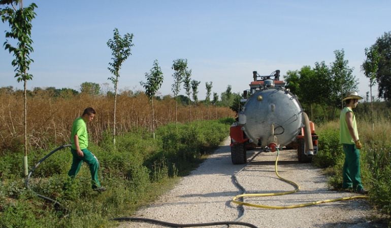 Trabajadores en el parque de Polvoranca