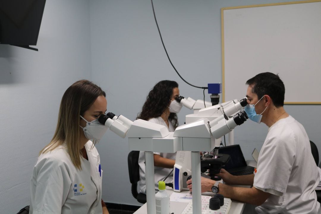 Durante su periodo de formación especializada los residentes participan cada jornada en sesiones con un microscopio muticabezal que les acerca a la Dermapatología.