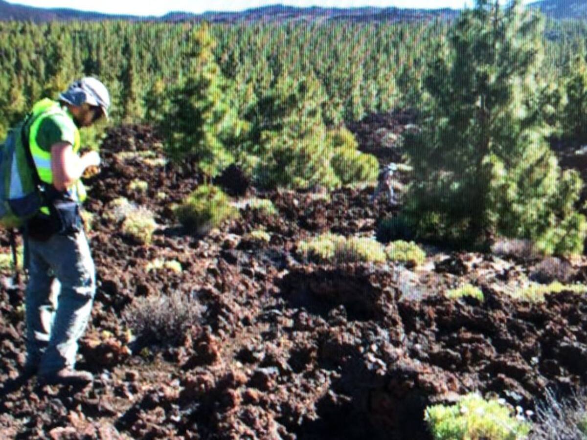 El Teide y la arqueología