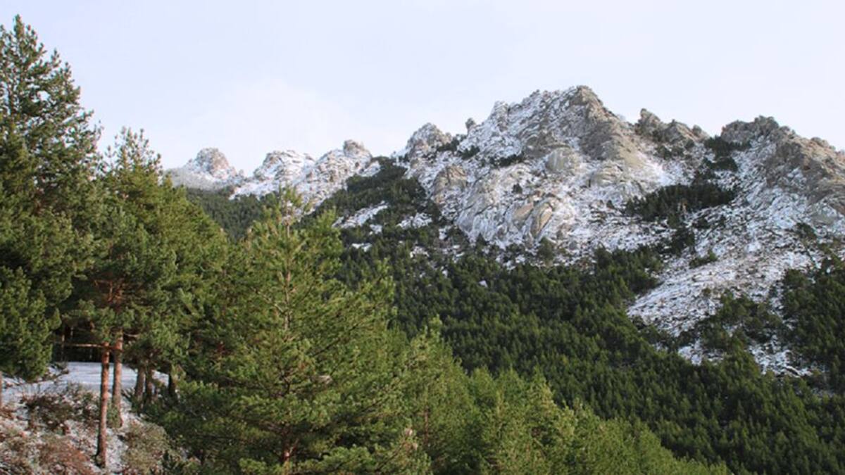 Entrevista a Antonio Coello, presidente de ADESGAM, por la presencia del stand de la Sierra de Guadarrama en FITUR 2025