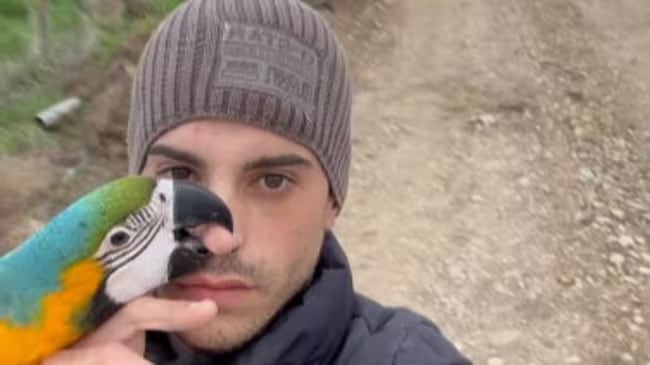 Marcos Moreno con uno de sus guacamayos