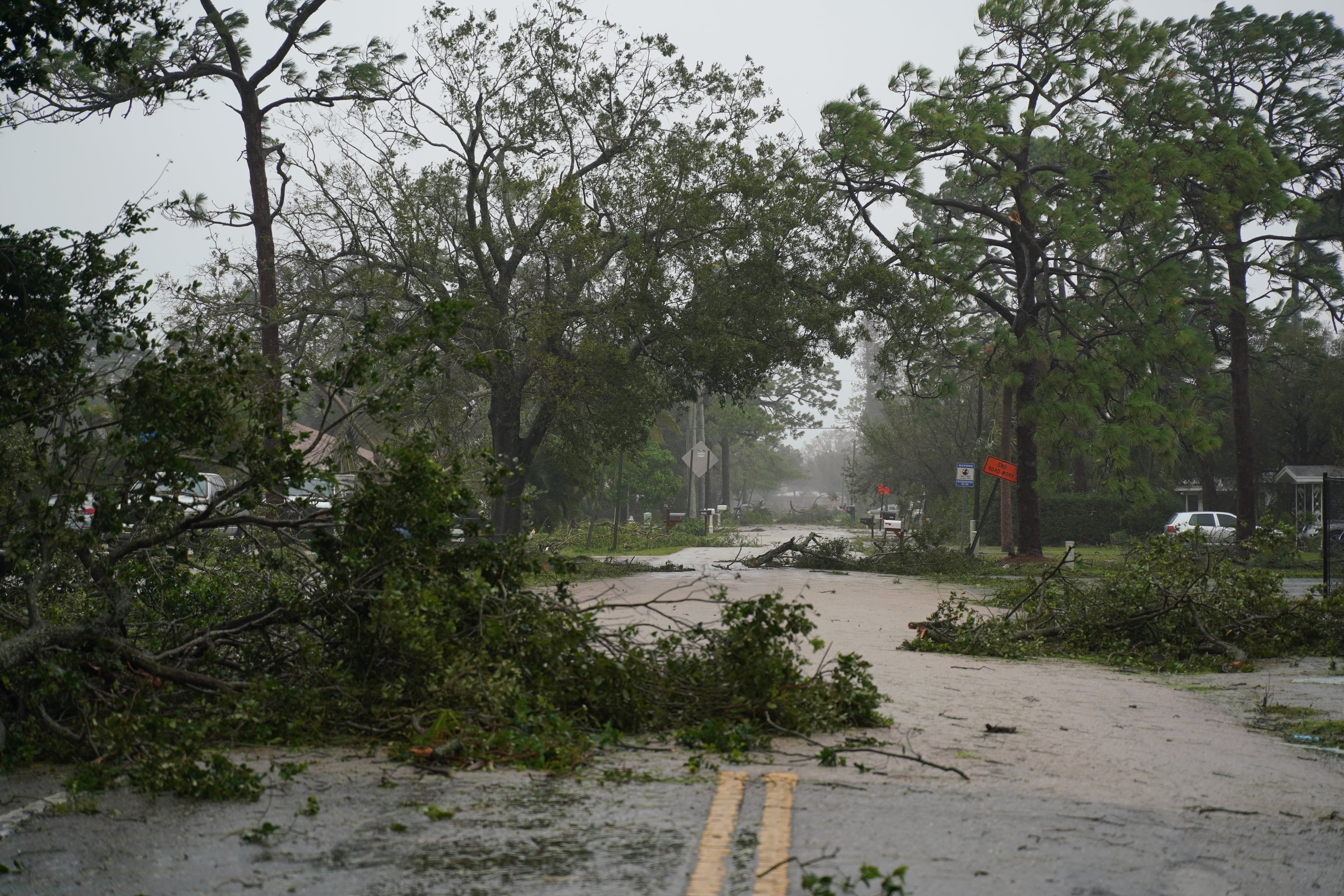 Una carretera de Fort Myer, intransitable por la gran cantidad de árboles caídos