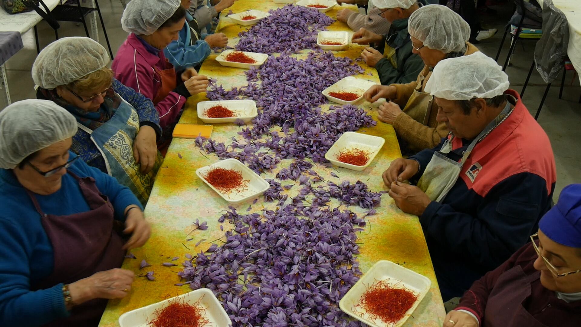 Imagen de la monda del azafrán