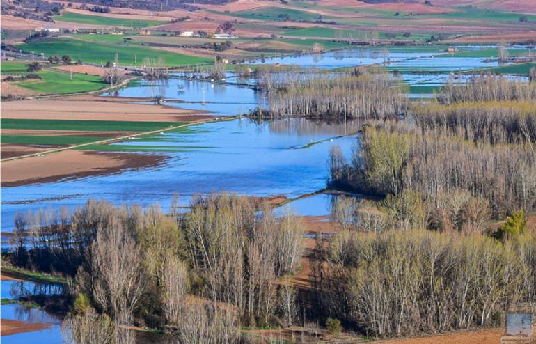 Hasta 500 hectáreas de terreno están anegadas en la cuenca alta del Riaza