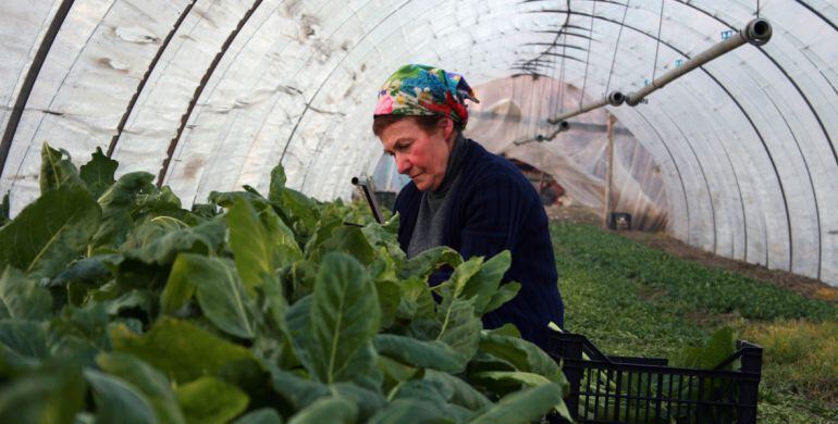 Fotograma del documental &#039;El lugar de las fresas&#039;, ganador de la Caracola de Alcances