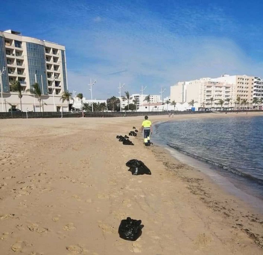 Bolsas con los residuos recogidos en la playa del Reducto.