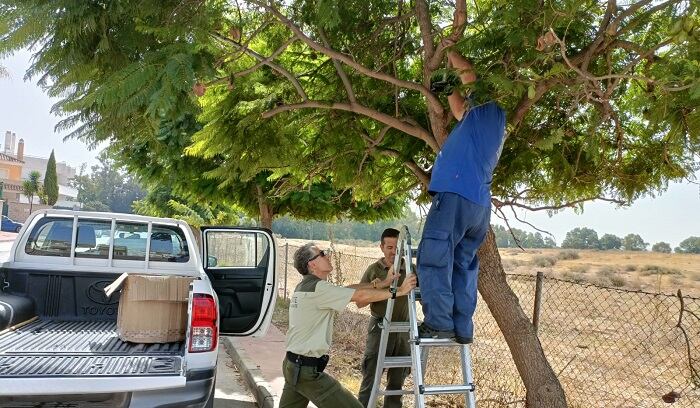 Imagen de los trabajos