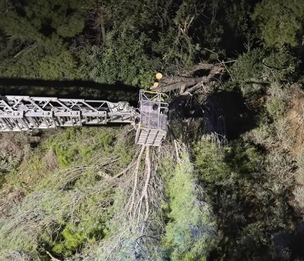 Un árbol se desprende sobre la carretera de Ojén.