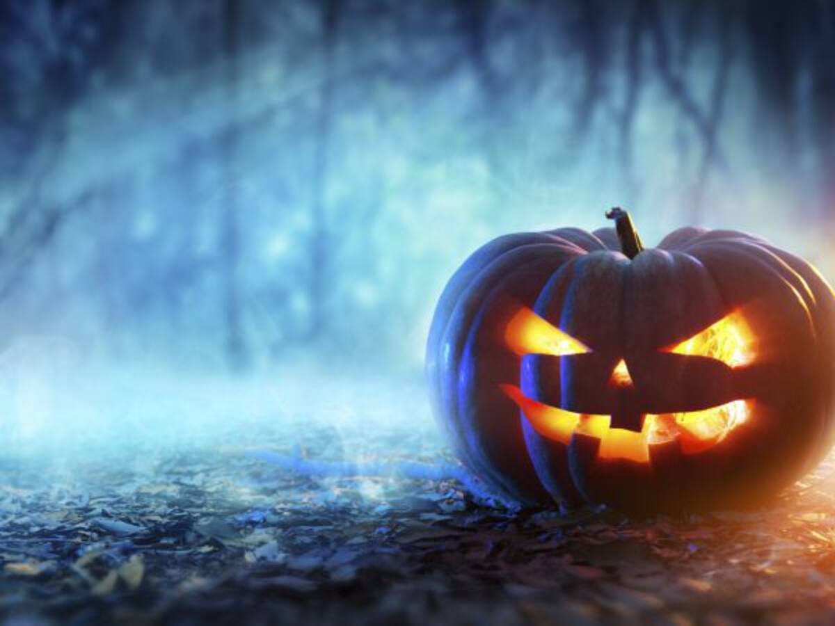 Una noche de miedo en Sevilla... para la policía