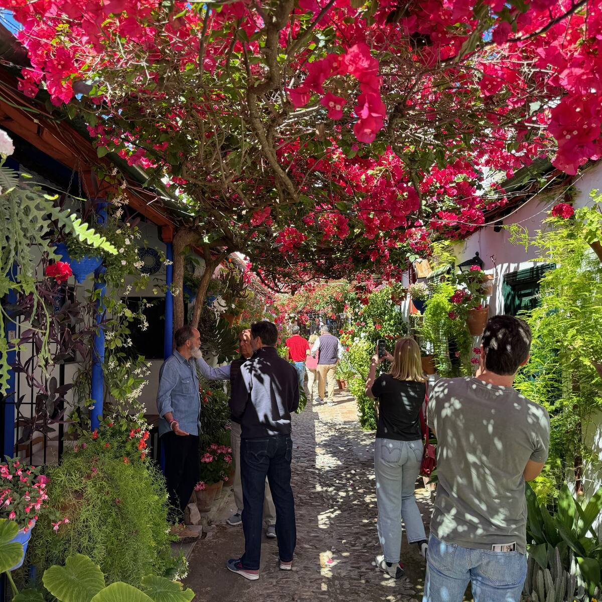 Tinte 9, Pastora 2 y Marroquíes 6 son los ganadores del Concurso de Patios 2024