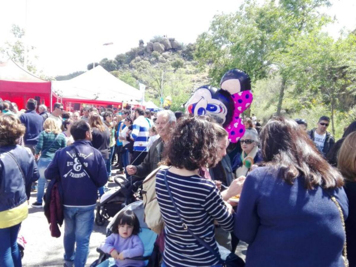 Estas son las imágenes de la romería del Valle de Toledo