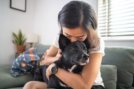 Una joven abraza a su perro