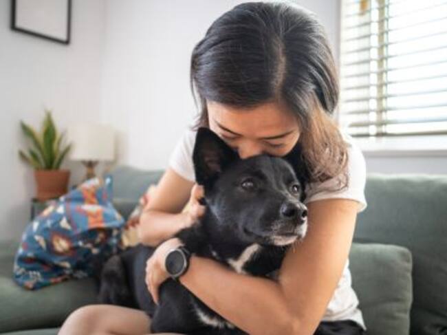 Una joven abraza a su perro