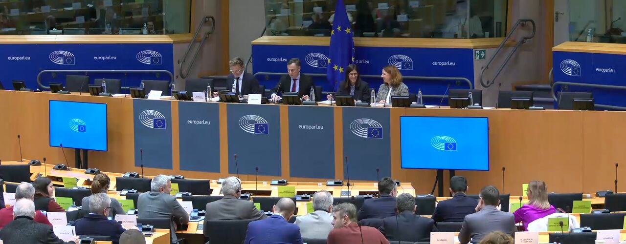 Un moment de la votació de l'informe sobre l'acord d'associació Andorra-UE a la comissió d'exteriors del Parlament Europeu