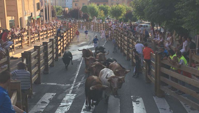 Primer encierro fiestas de Tudela 2018