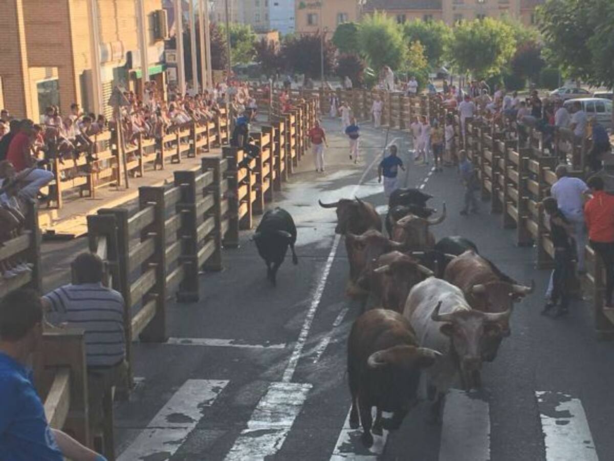 Limpio y rápido primer encierro de las fiestas de Tudela