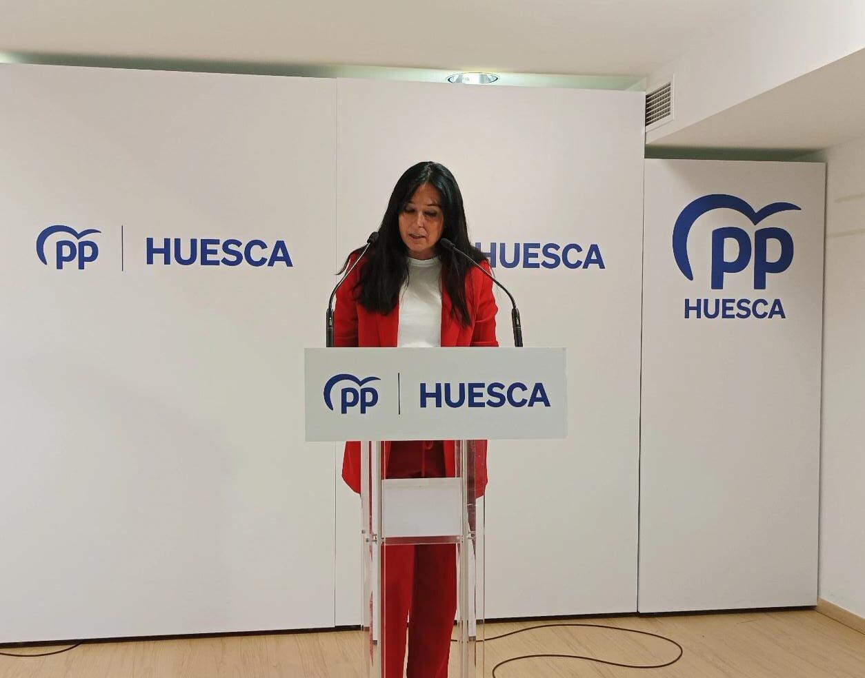 Lorena Orduna en la presentación del plan de limpieza.