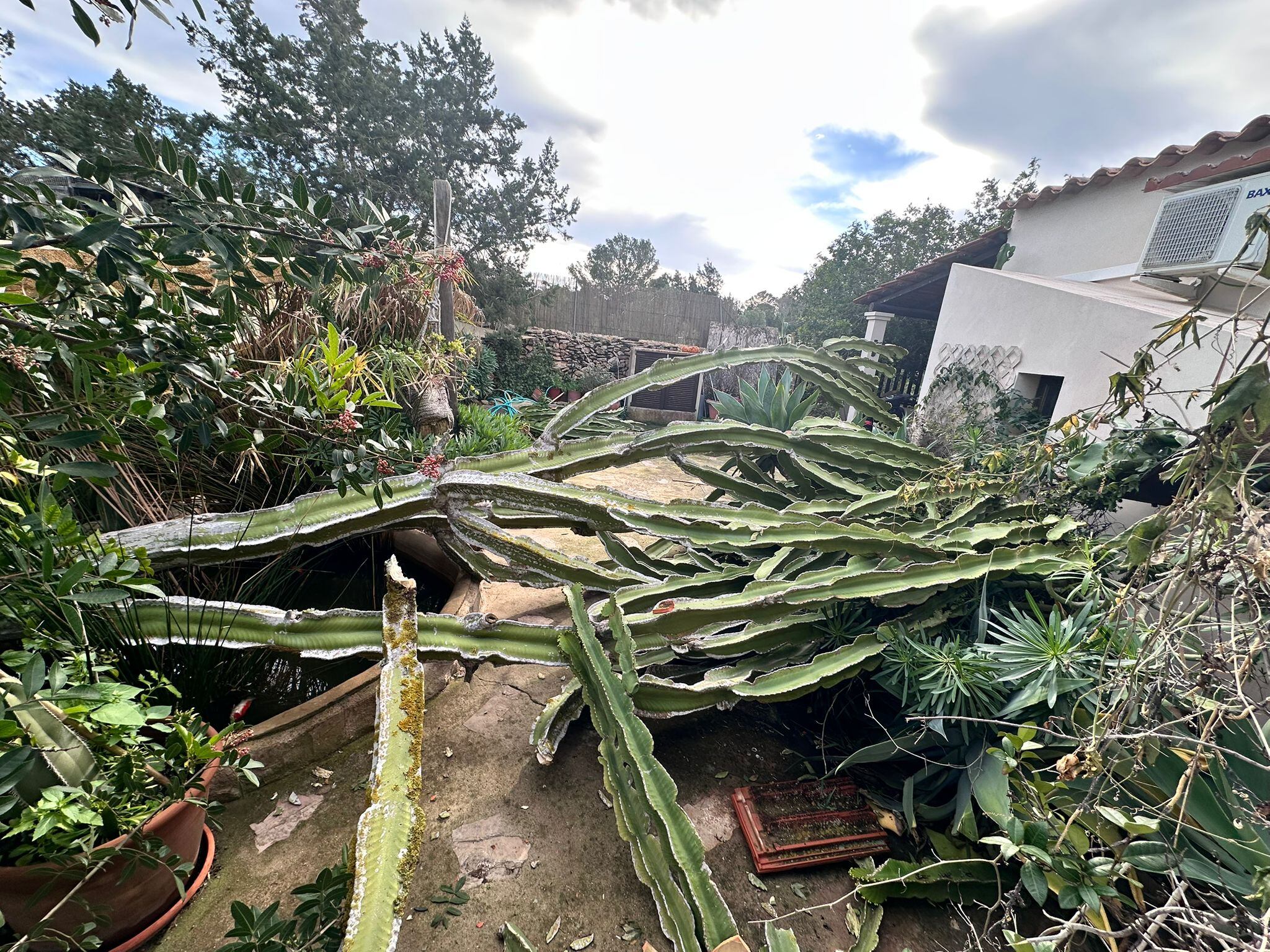 Numerosas incidencias debido al temporal