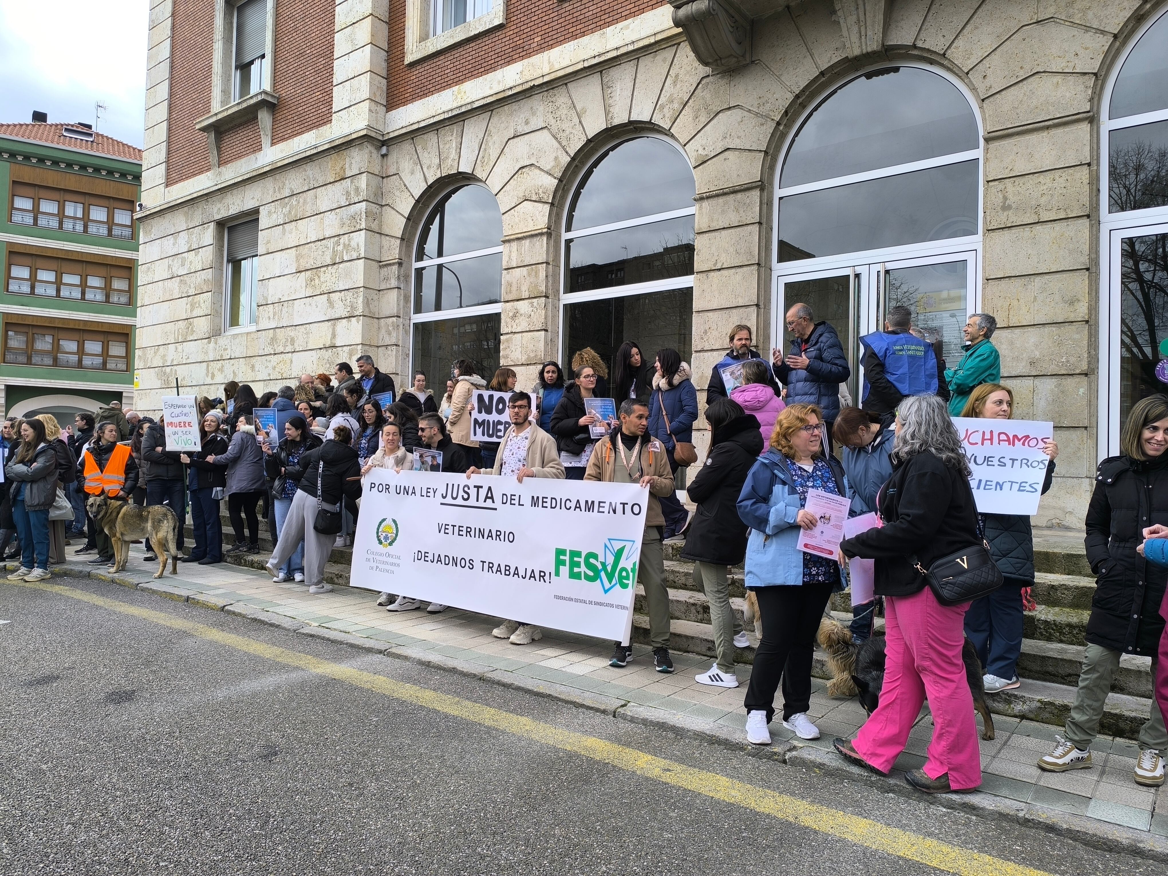 Los veterinarios de Palencia se concentran ante la Subdelegación del Gobierno