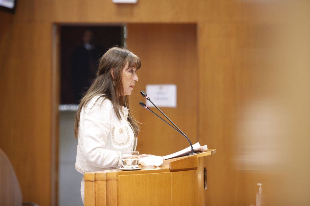 La consejera de Sanidad interviene en el pleno de las Cortes