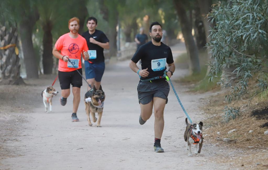 Canicross en la I Fiesta de la Mascota, Elche