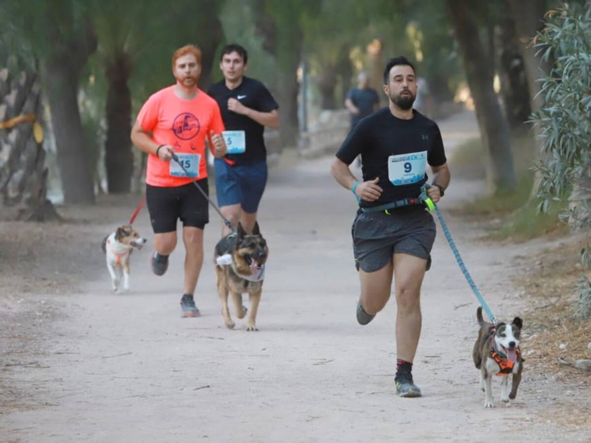 Éxito en la I Fiesta de la Mascota celebrada en Elche