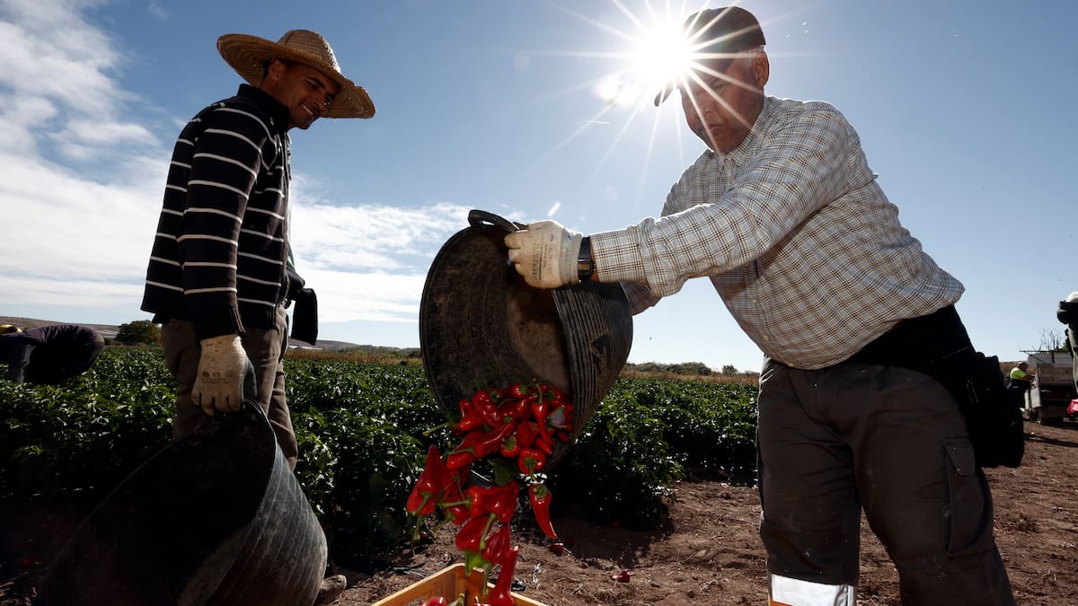 La primera llamada del día con Ignacio Gil, director general de Agricultura (17/10/2022)