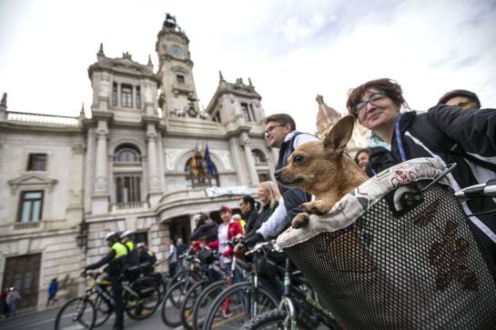 Una mujer lleva a su perro en una cesta al comienzo de la &quot;bicifestación &quot; que se ha celebrado por las calles del centro de Valencia con motivo del Día Mundial de la Bicicleta.