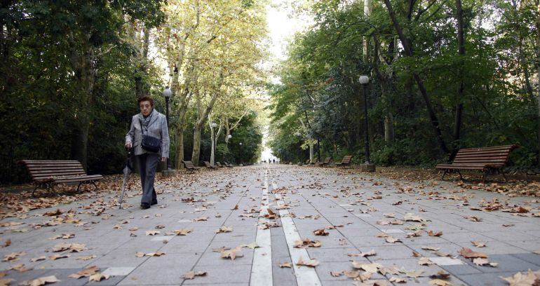 Paseo central del Campo Grande
