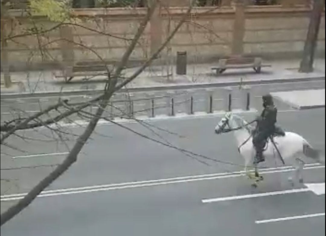 Un jinete de la Policía Nacional persigue a un ciclista en pleno estado de alrma por el coronavirus