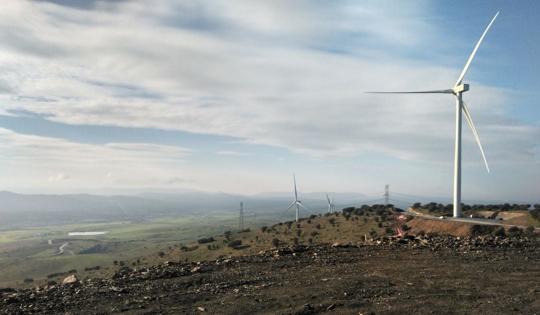 Vista de varios de los molinos de viento del Parque Eólico de Plasencia