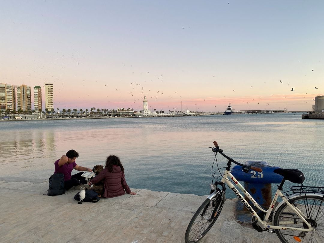 Vista del puerto de Málaga desde el Palmeral de las Sorpresas 