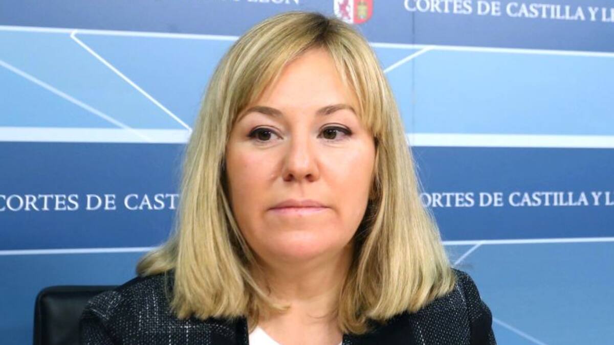 Ciudadanos pide que se eliminen los coches oficiales de las Cortes