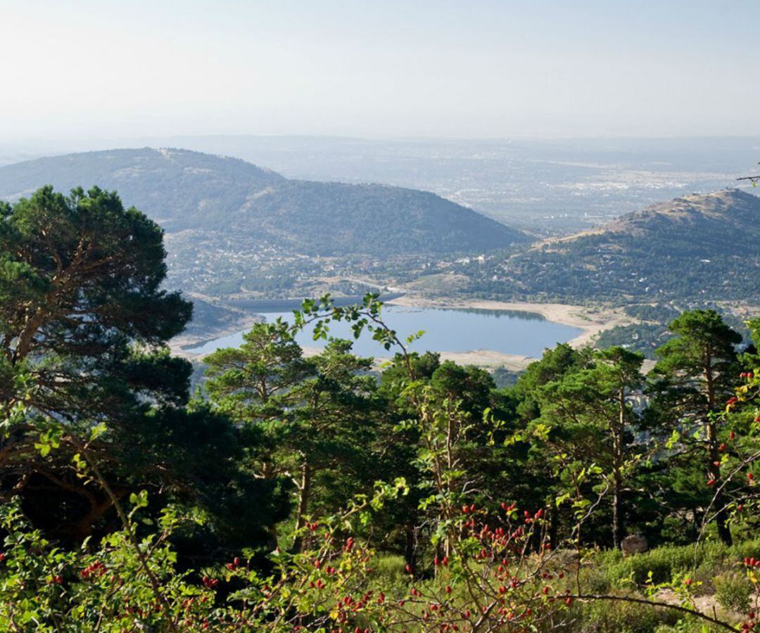 Nos moveremos entre espectaculares pinos silvestres para disfrutar del paisaje con La Maliciosa y la Bola del Mundo de fondo