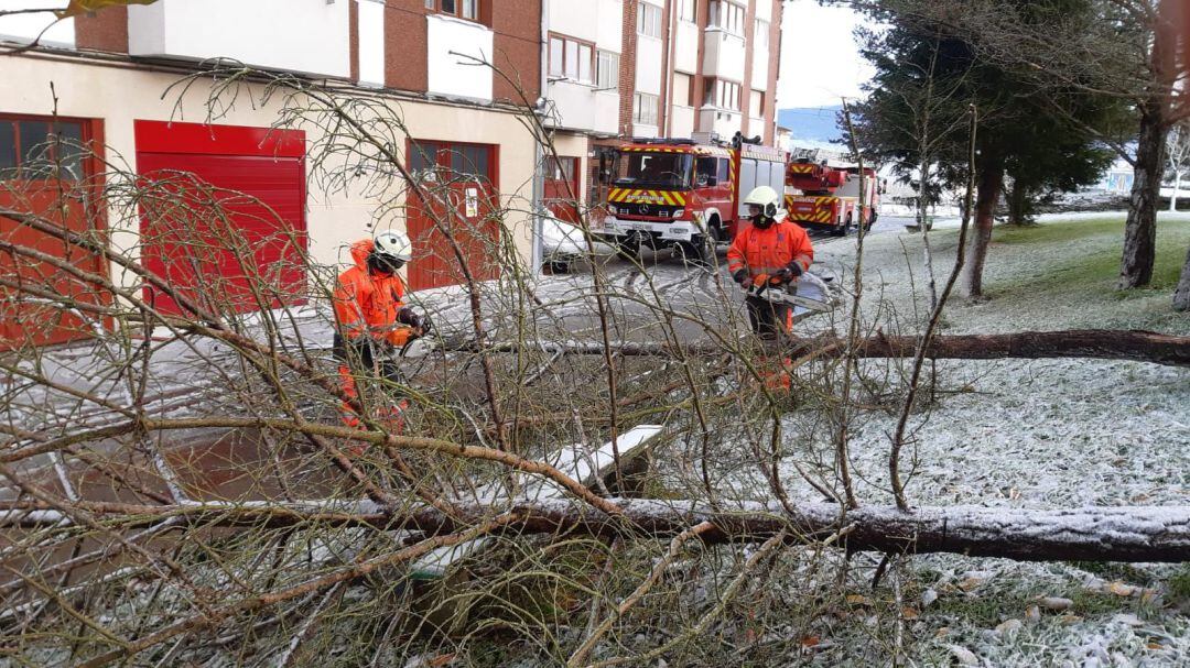 Dos bomberos trabanjado para retirar un árbol caído en la calzada.