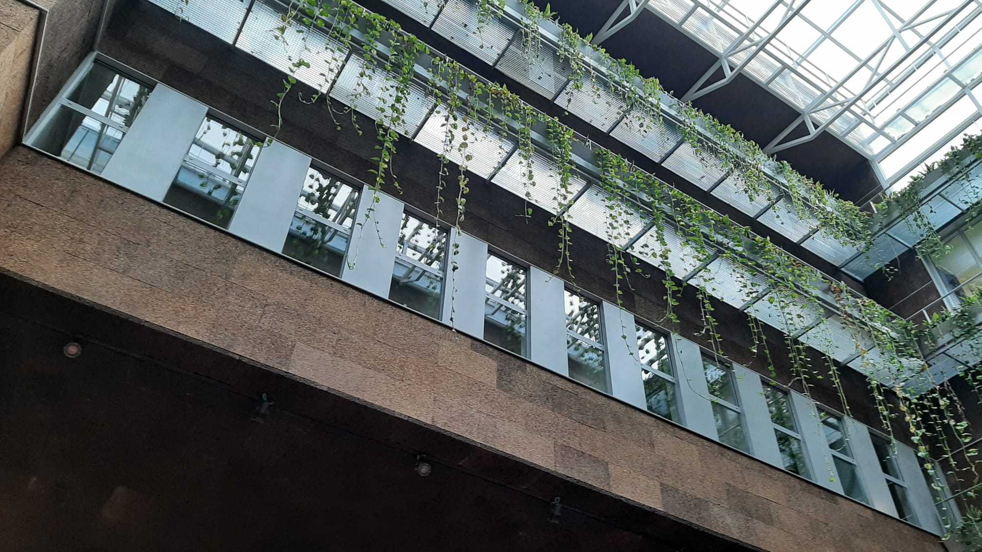 Mudanza en la Facultad de Filosofía y Letras de Zaragoza: interior del nuevo edificio