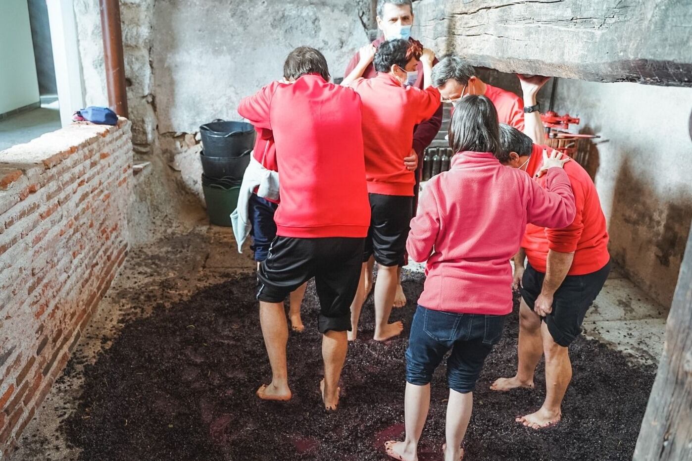 El 21 y 22 de septiembre, los usuarios de los centros de mayores y los alumnos de 5º de Primaria del CPB Federico García Lorca y Envera se reunirán para aprender sobre los trabajos del medio rural