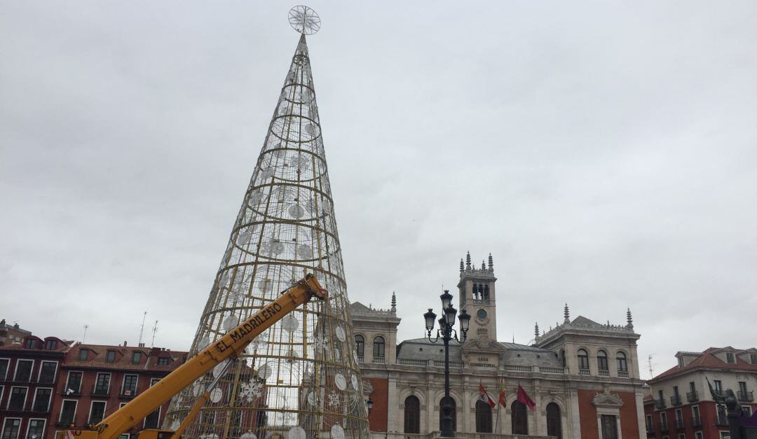 El árbol ya está instalado en la Plaza Mayor