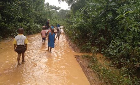 Manos Unidas lleva a cabo la construcción de pozos en zonas rurales de el Congo y Camerún para ayudar a las poblaciones de la zona con el abastecimiento de agua