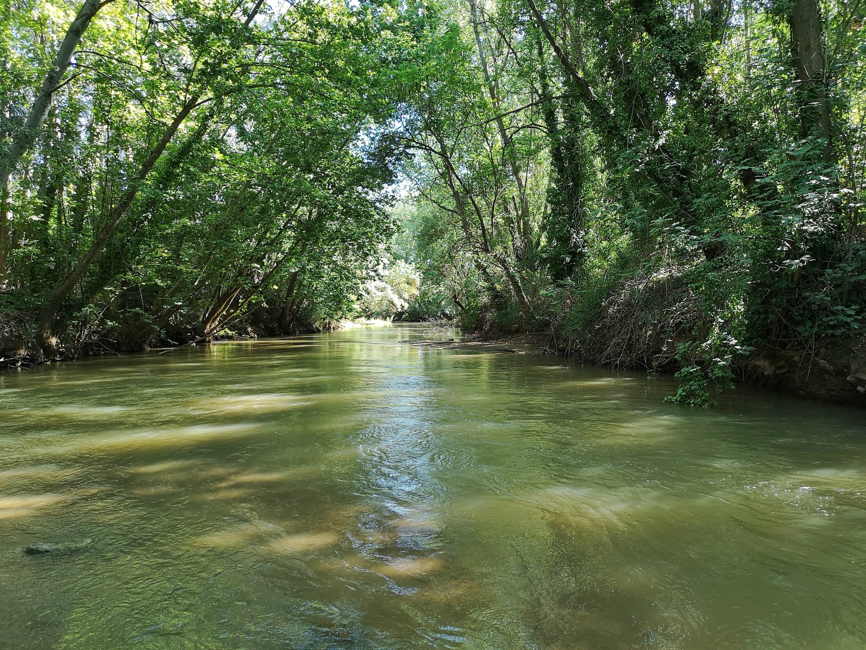 El río Júcar en el entorno del palacio de los Gosálvez, entre Casas de Benítez y Villalgordo del Júcar.