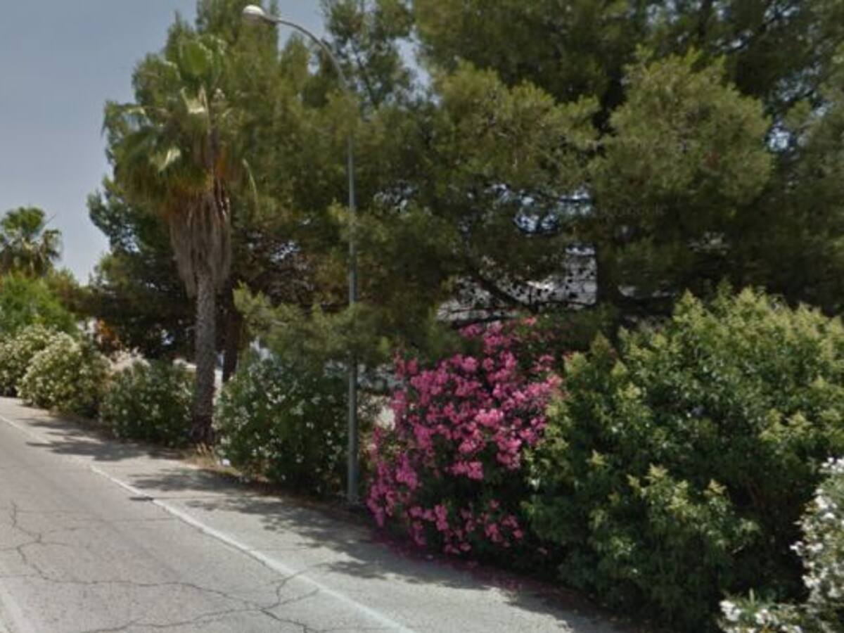 Fallece atropellada una persona en la carretera en Carmona