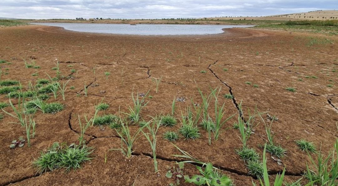 El Vega del Jabalón está a tan solo el 2% de su capacidad