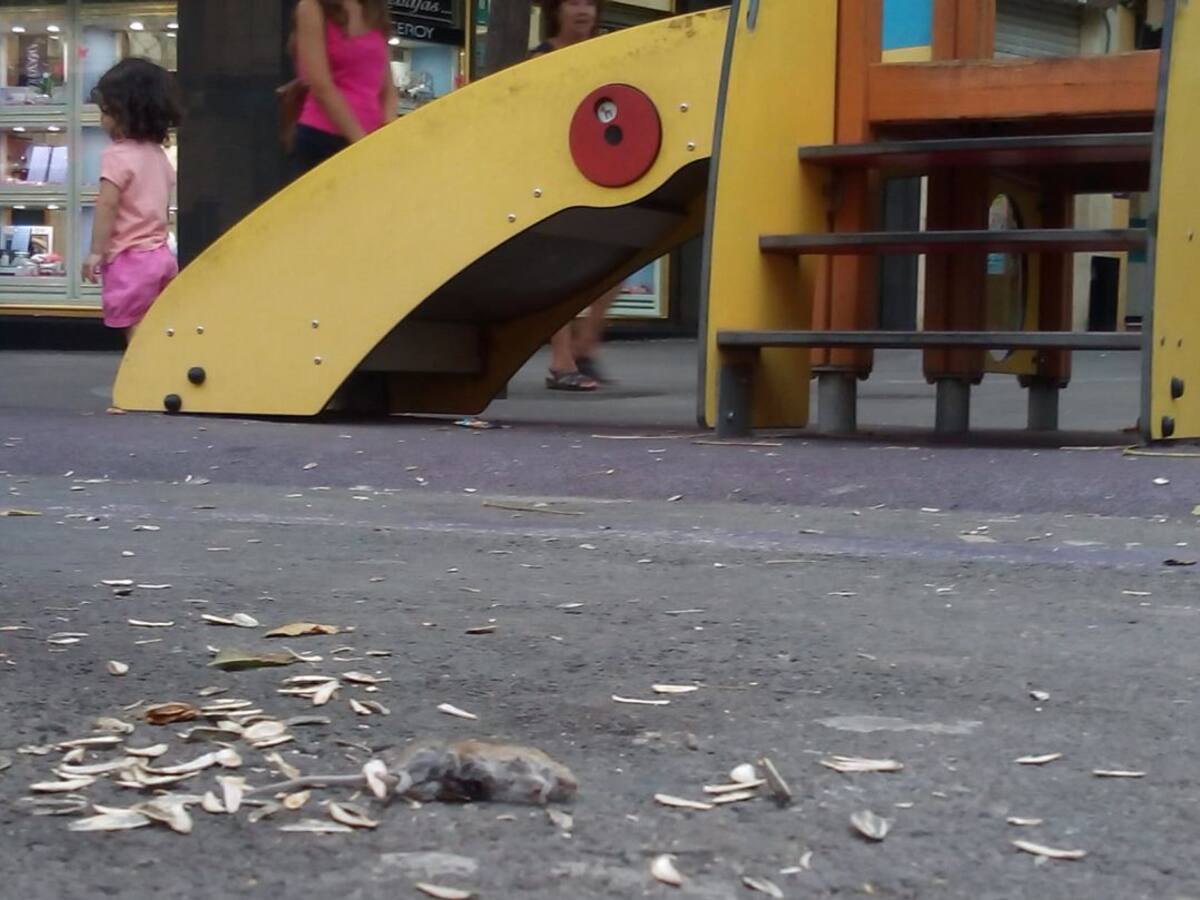 Carolinas Bajas acusa al Ayuntamiento de permitir la insalubridad